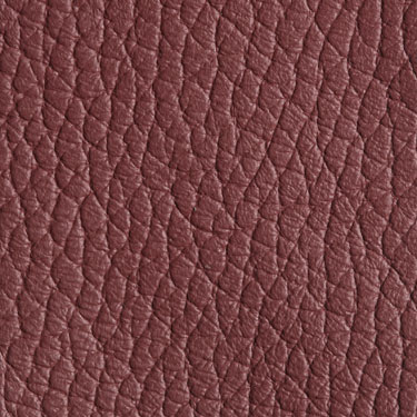 Click here to view a larger picture of Dollaro Burgundy