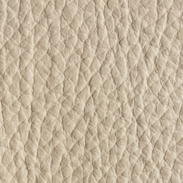 Dollaro Beige