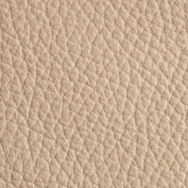 Dollaro Apricot White